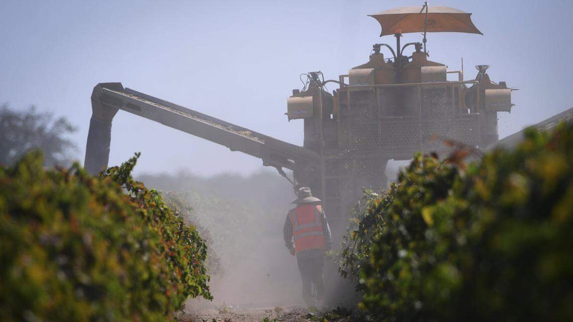 California farmers report labor impacts from enforcement