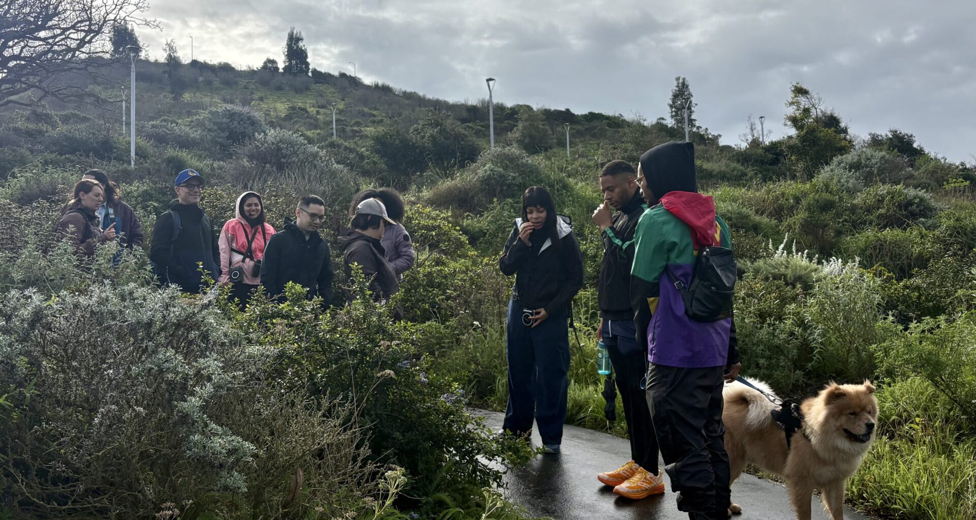 On Man-Made Treasure Island, Life Finds a Way