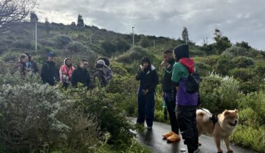 On Man-Made Treasure Island, Life Finds a Way