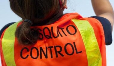 Bugs and insects coming out in Fresno this spring