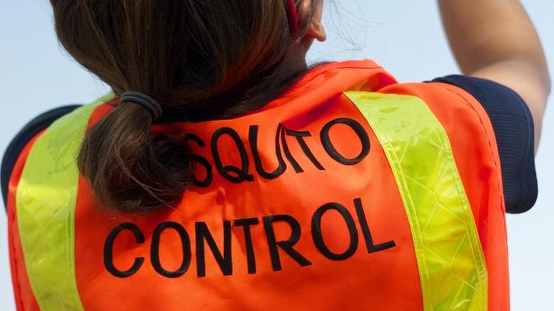 Bugs and insects coming out in Fresno this spring