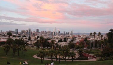 View of a city skyline with palm trees in the foreground, seen from a park at sunset. The sky is pink and orange.
