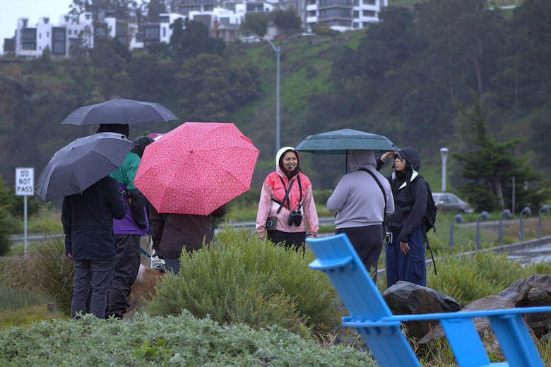 A group of people standing in a circle in a field carrying umbrellas, with a woman in a pink jacket in the center.