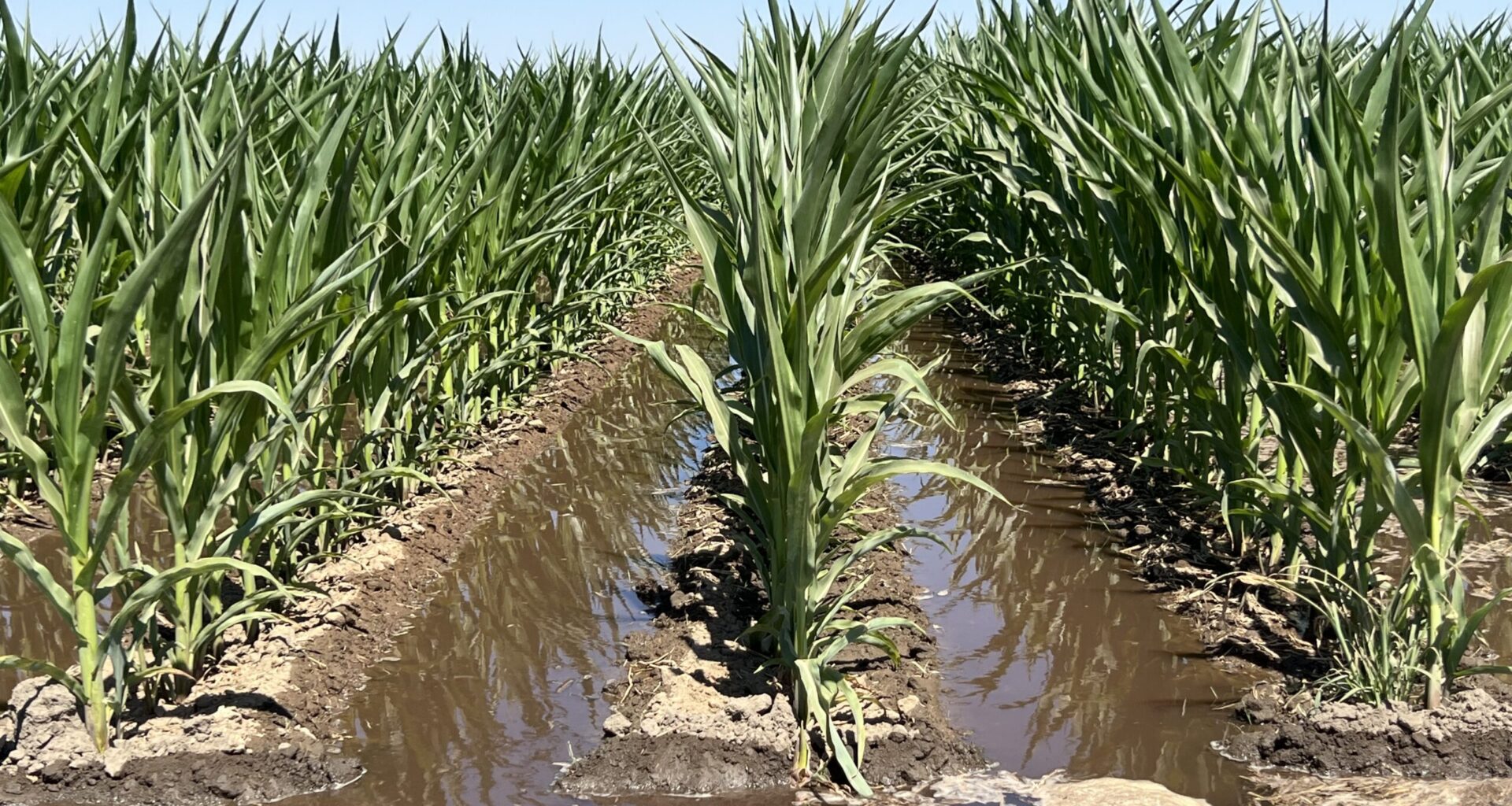 State to consider excluding “small pumpers” from groundwater regulations  – SJV Water