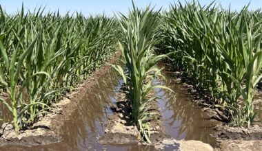 State to consider excluding “small pumpers” from groundwater regulations  – SJV Water