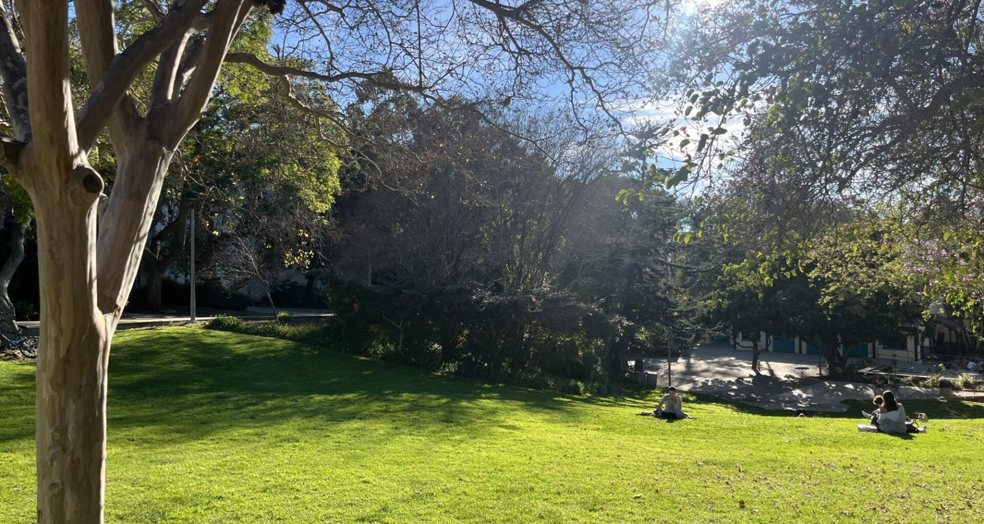 Students and faculty express the value of outdoor spaces on campus – The Daily Aztec