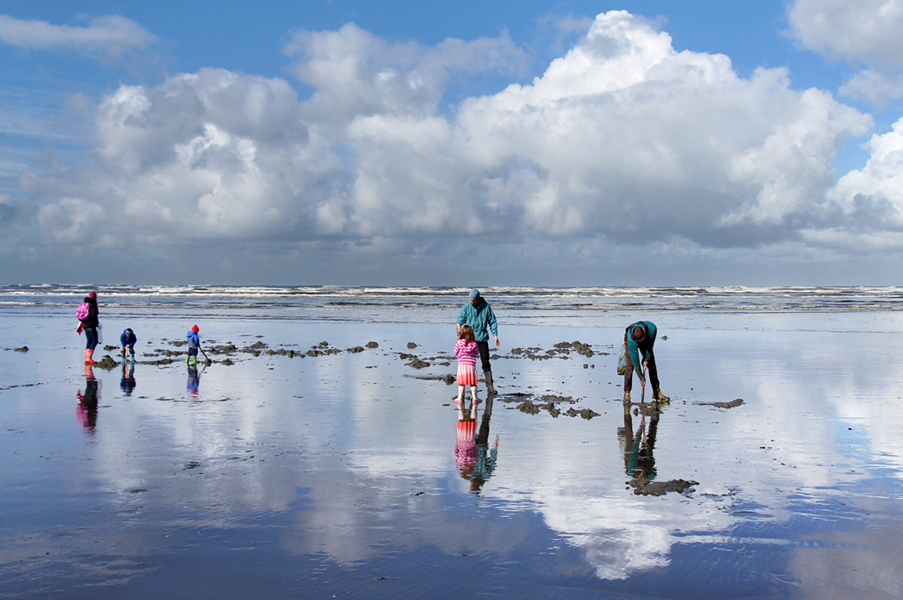 WDFW Approves Eight Days of Coastal Razor Clam Digs Beginning March 17