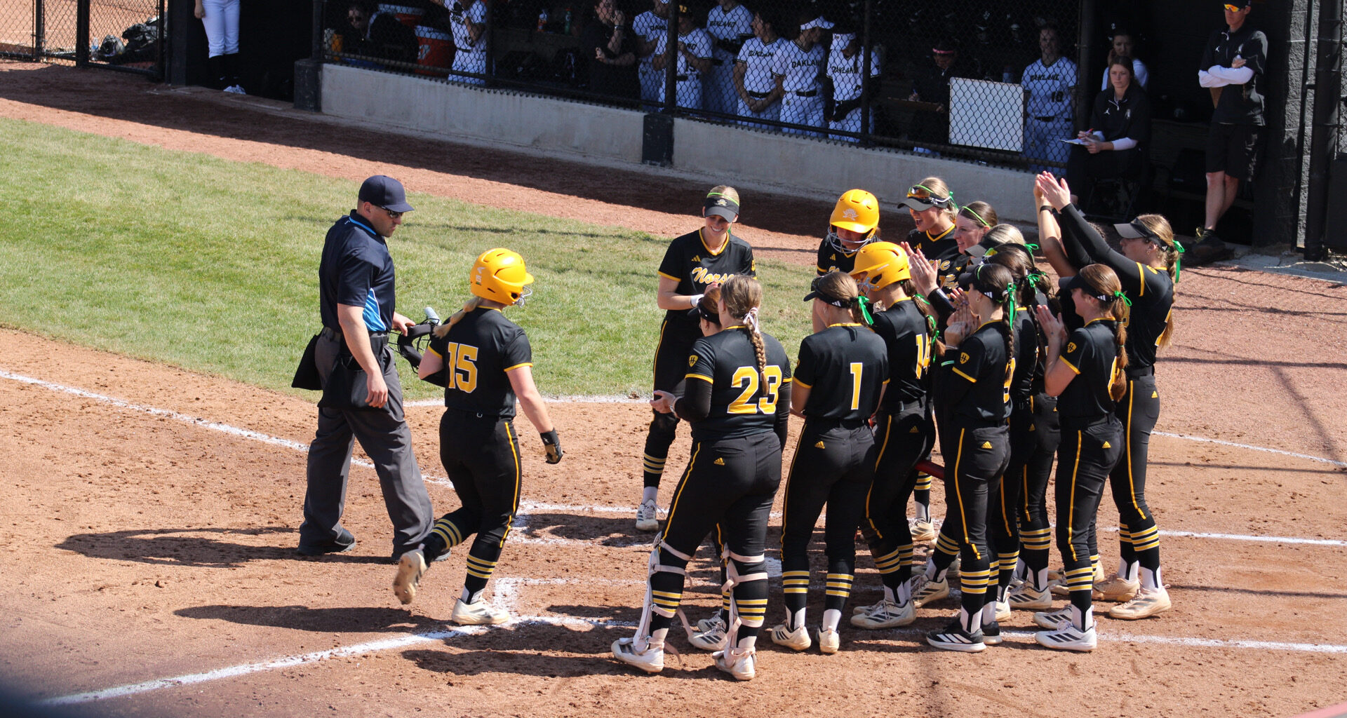 Norse take series over Oakland in Horizon League opener – The Northerner