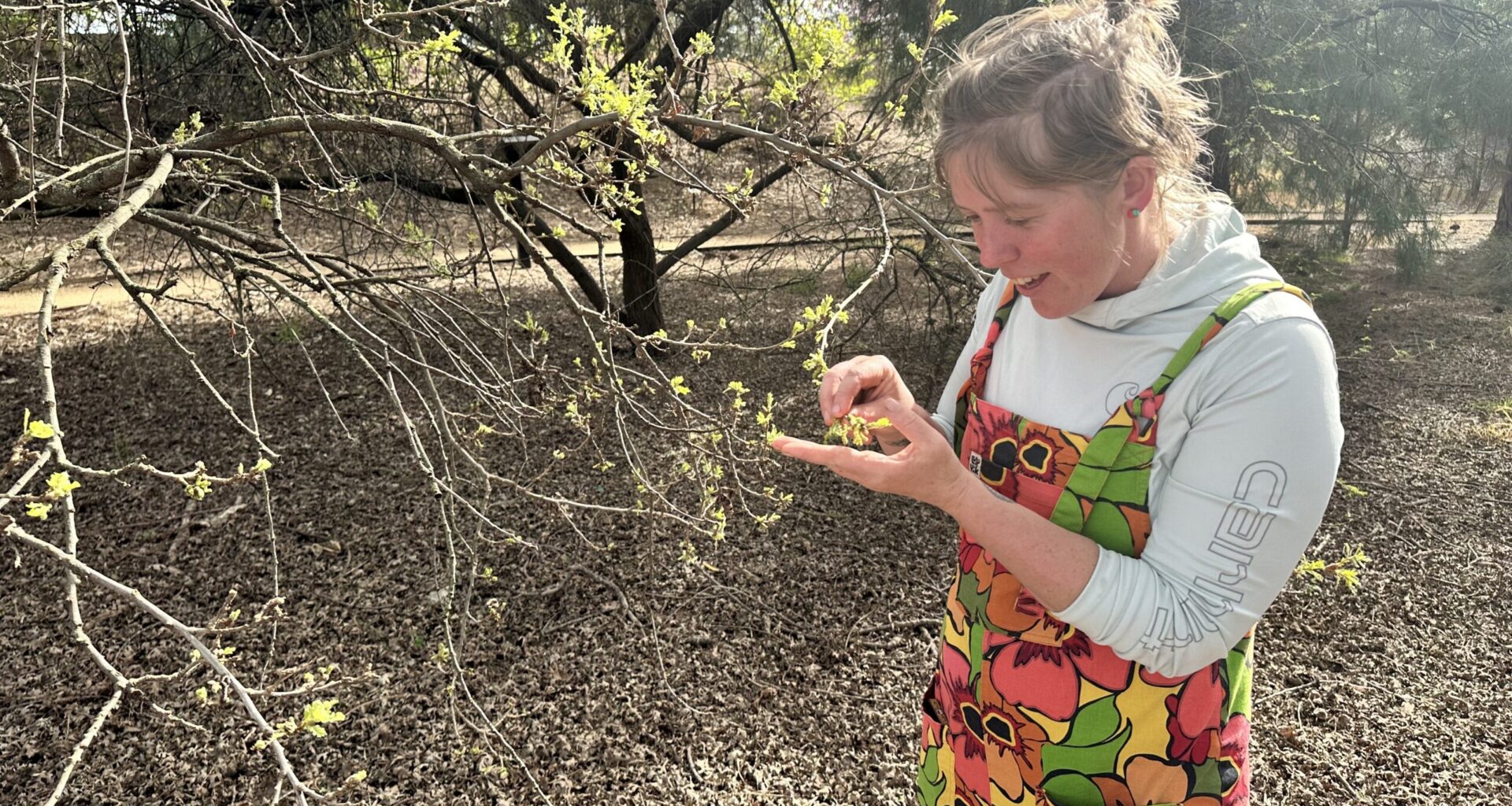 Woman looks at tree buds.