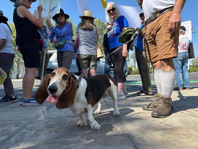 Several protesters brought their dogs to the Fresno “No Kings” protest at Blackstone and Nees avenues near River Park on Saturday, March 28, 2026.