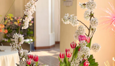 Piedmonters take part in Mountain View Cemetery’s Tulip Show this weekend