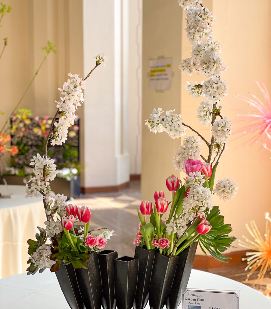 Piedmonters take part in Mountain View Cemetery’s Tulip Show this weekend