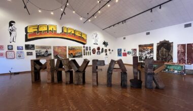 Paz-Cedillos: Culture is civic infrastructure