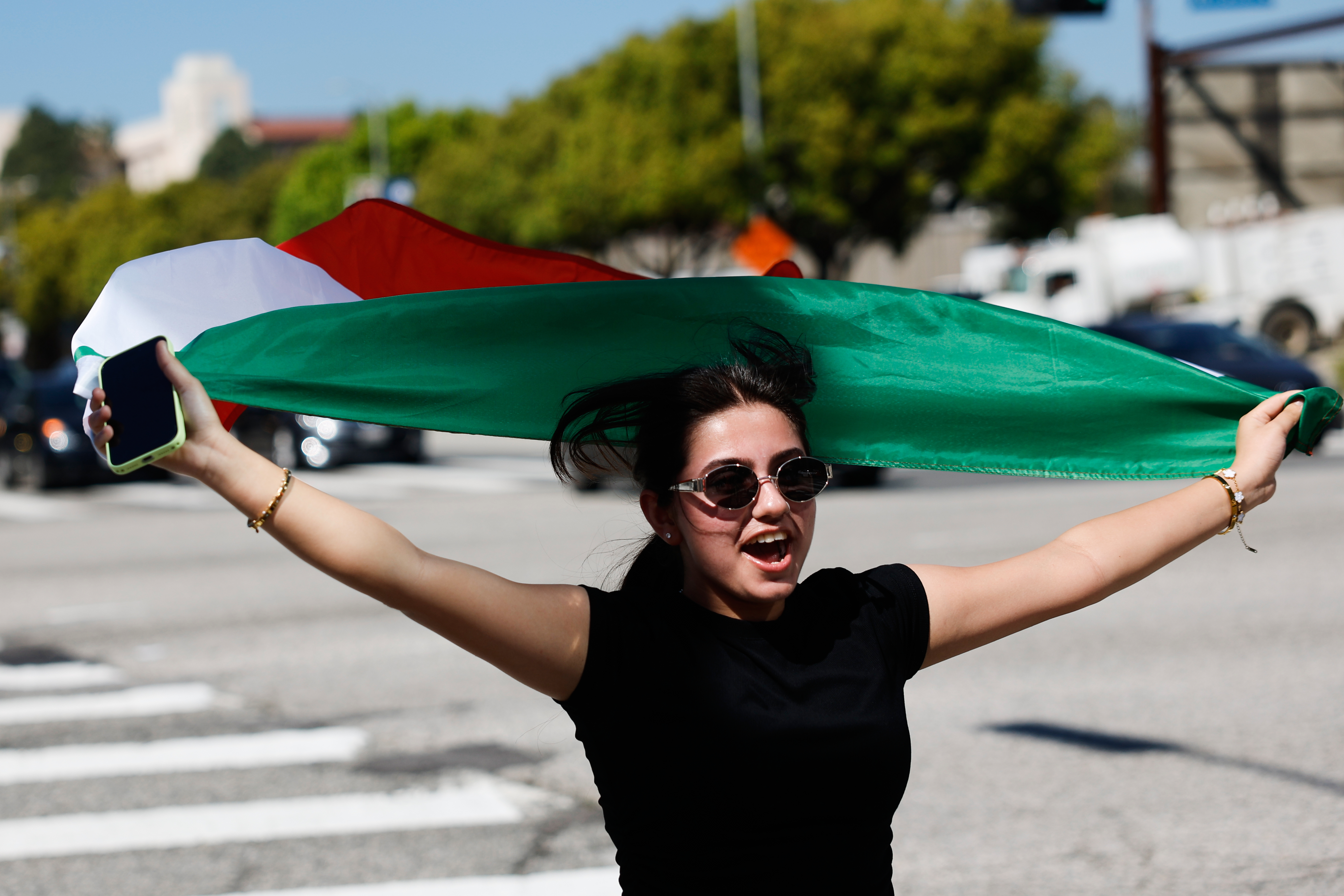 A demonstrator carries an Iranian flag in reaction to the...