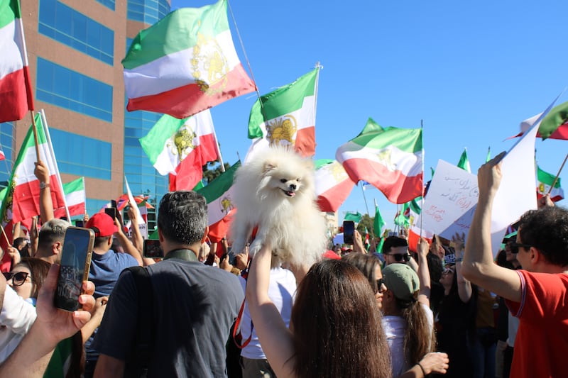 An attendee lifts her dog into the air in time with the music outside the Wilshire Federal Building in Westwood. (Photo by Charlotte Calmès)