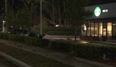 Driver dies when truck slams into concrete light pole in Starbucks parking lot on San Jose Boulevard: JSO