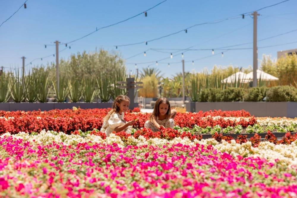 JW Marriott Anaheim Resort jw-snajw-jw-garden-29980_Classic-Hor 2026-01-24 00.26.48.jfif