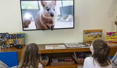 Animals are Streaming into 400 Children's Hospitals From San Diego Zoo’s Dedicated 24-hour Channel