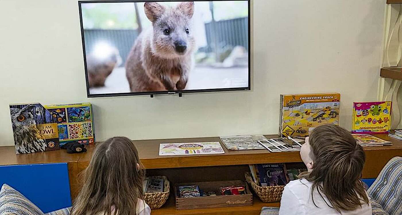 Animals are Streaming into 400 Children's Hospitals From San Diego Zoo’s Dedicated 24-hour Channel