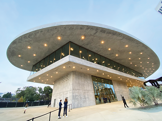 Operation Sparkle brightens Miracle Mile