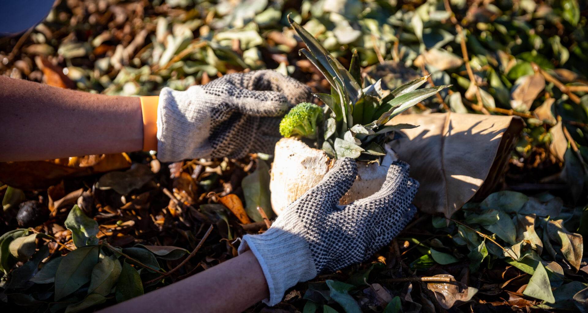 Things to do in Long Beach: Community gardening, art market, Latin dance class and more!