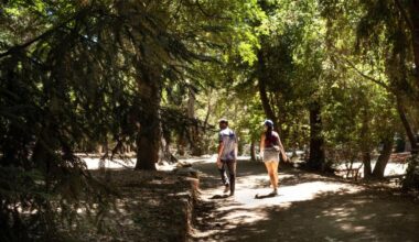 Heat wave could bring record-breaking temps to Southern California – Orange County Register