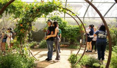 Visitors to National History Museum see butterflies and moths from all over the world – Daily Breeze