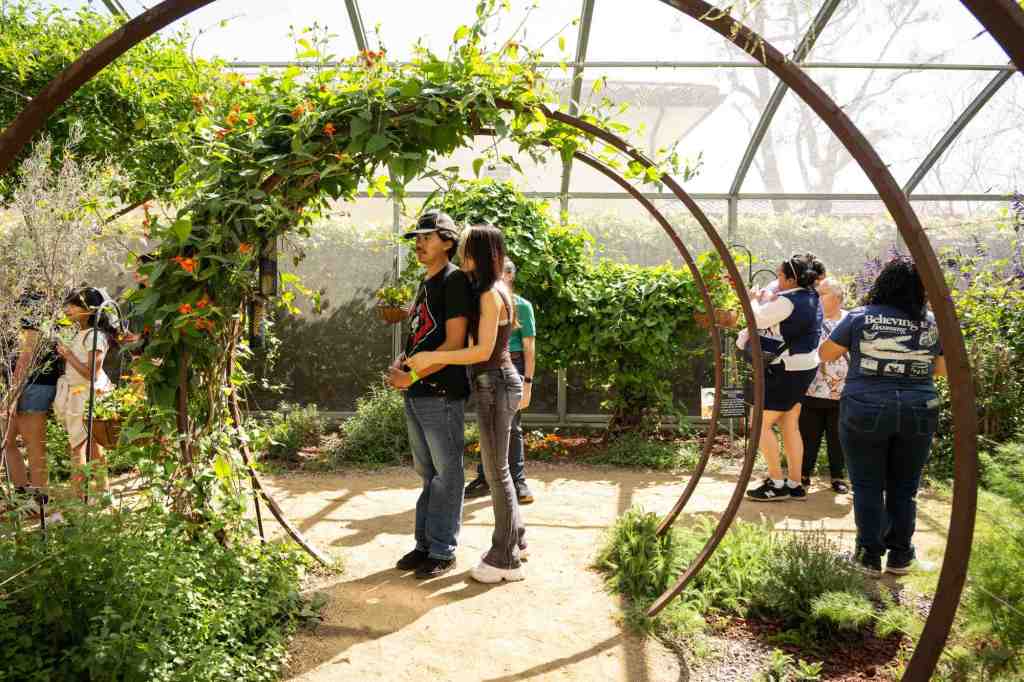 Visitors to National History Museum see butterflies and moths from all over the world – Daily Breeze