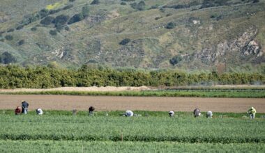 No more Cesar Chavez day, but some offices, services will still be closed in LA County – Daily News