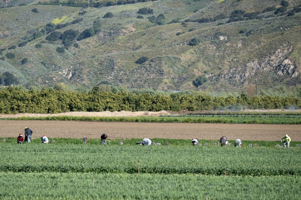 No more Cesar Chavez day, but some offices, services will still be closed in LA County – Daily News