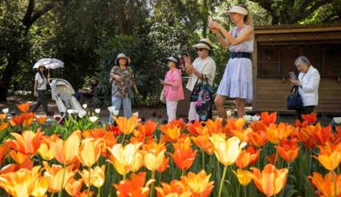 Heat wave continues to break records across Southern California – Press Telegram