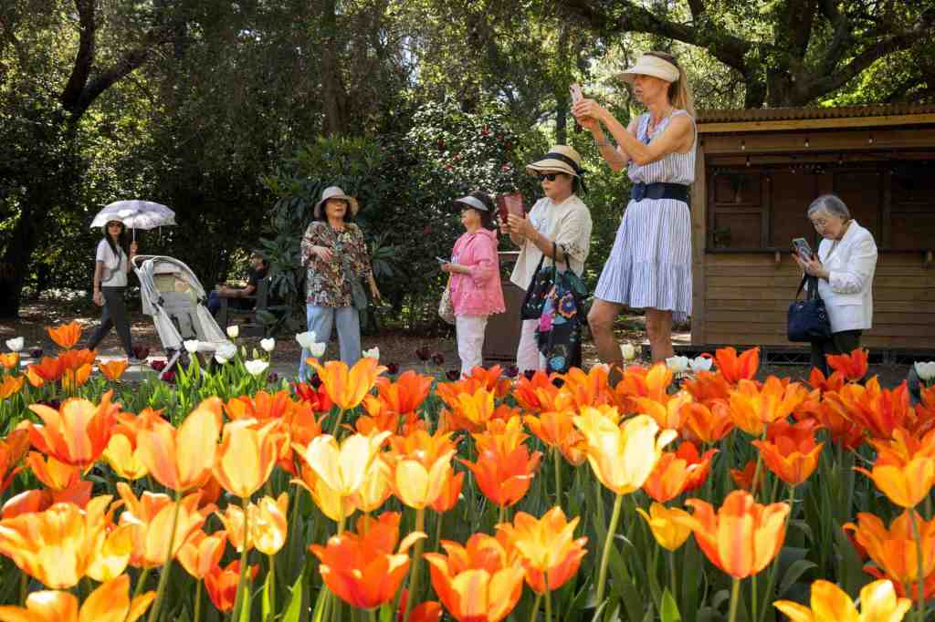 Heat wave continues to break records across Southern California – Press Telegram