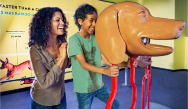 Free things to do with your kids so you don’t go crazy or broke – Orange County Register