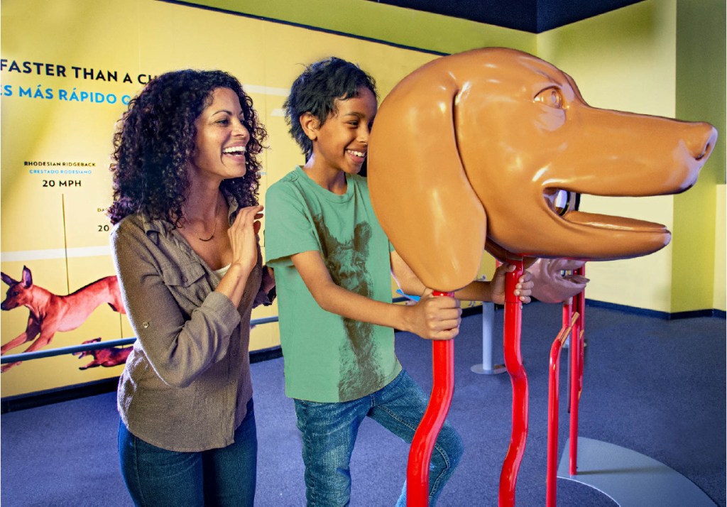 Free things to do with your kids so you don’t go crazy or broke – Orange County Register