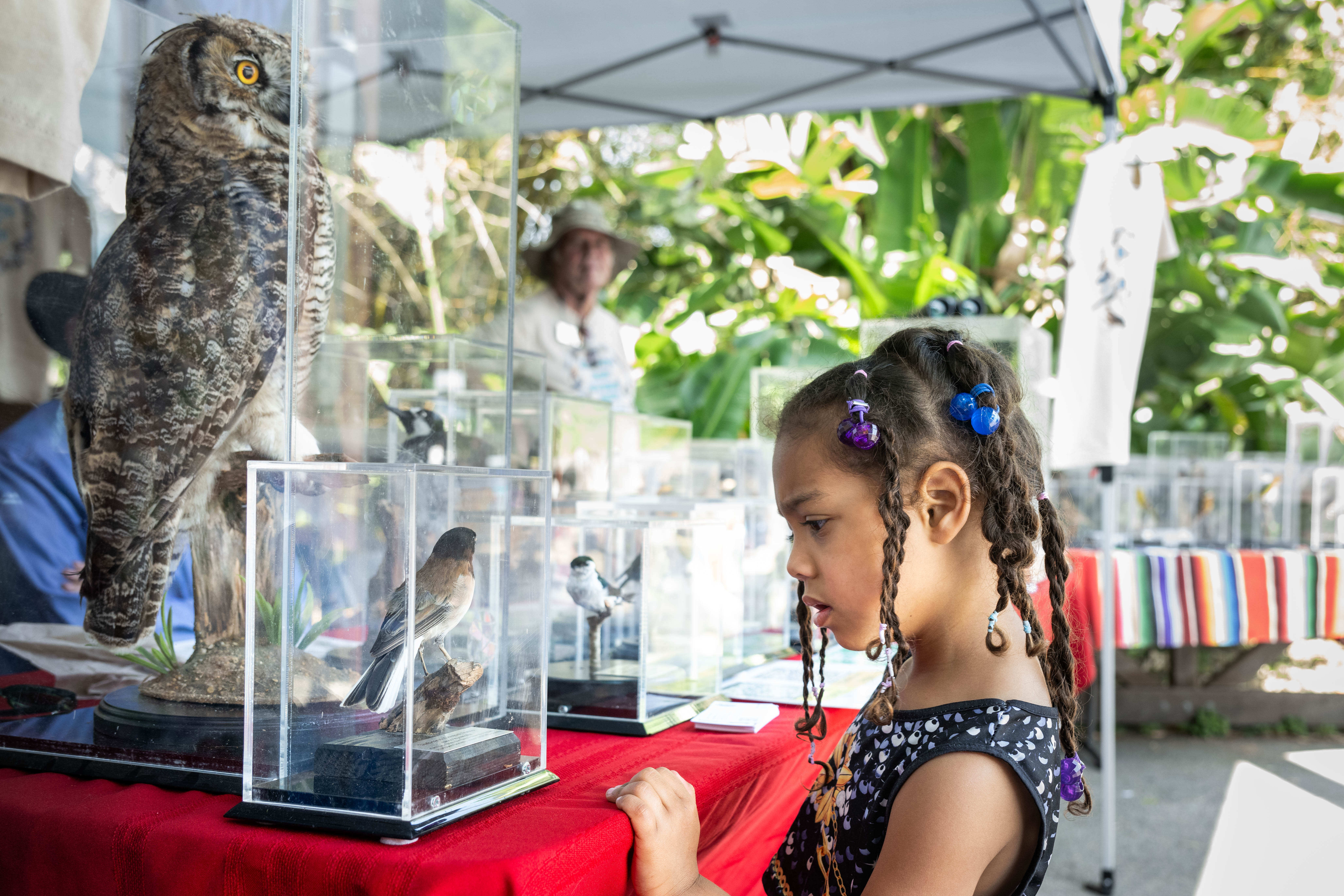 Wilde Wallin, 4, of Glendale, checks out the San Fernando...