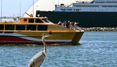 Here’s how to make the most of the waterfront during the Grand Prix – Press Telegram