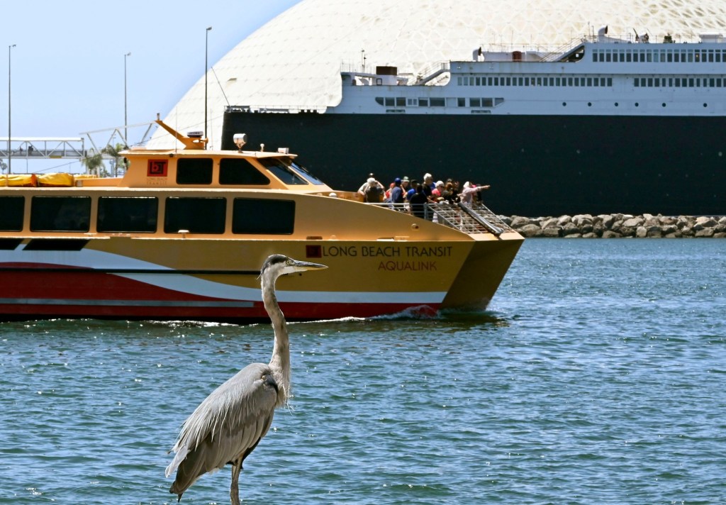 Here’s how to make the most of the waterfront during the Grand Prix – Press Telegram