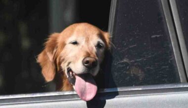 This week’s record-breaking Southern California heat wave expected to yield to cooler weekend weather – Orange County Register