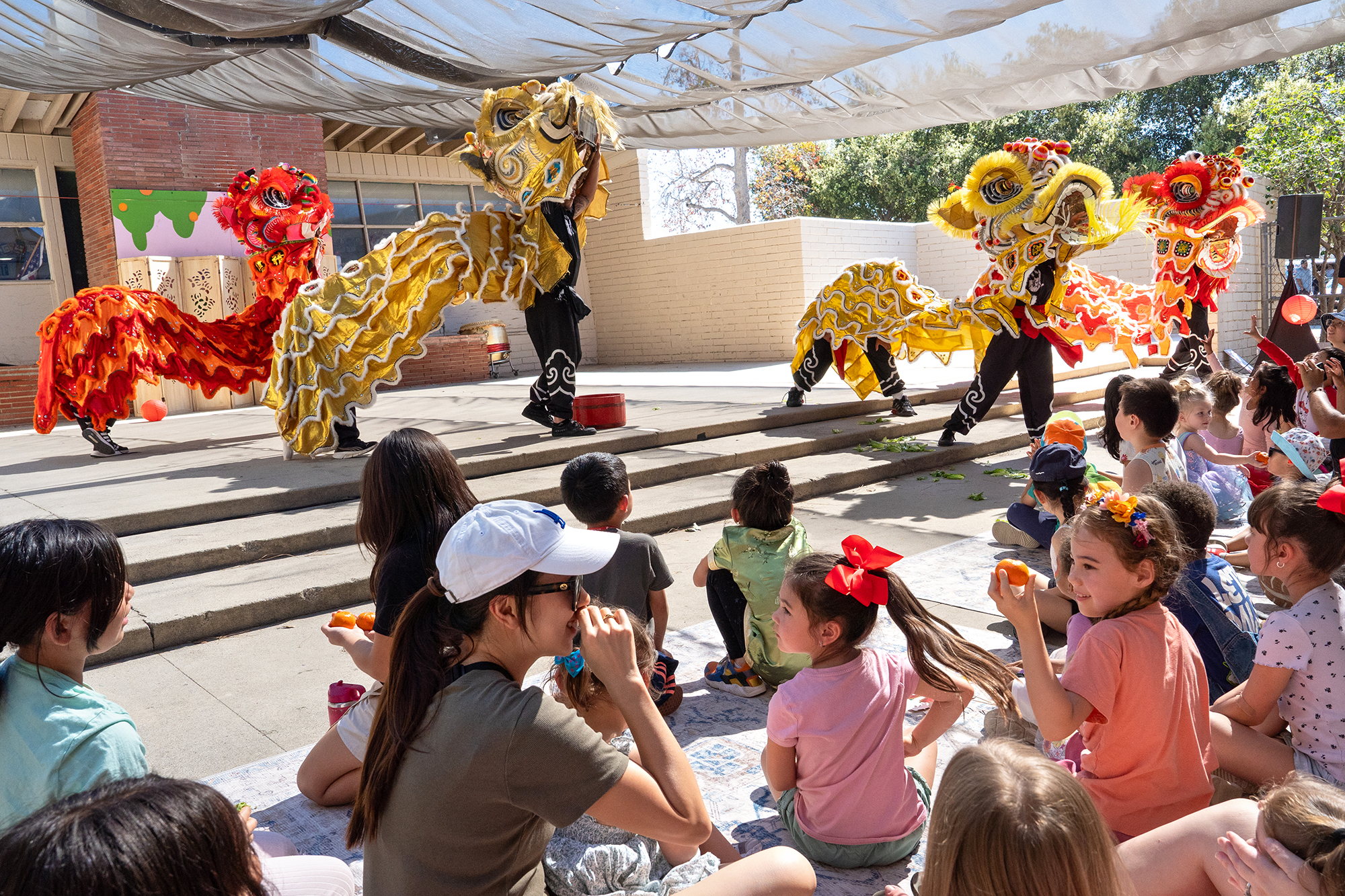Audience members watch as the Lau Martial Club performs the...