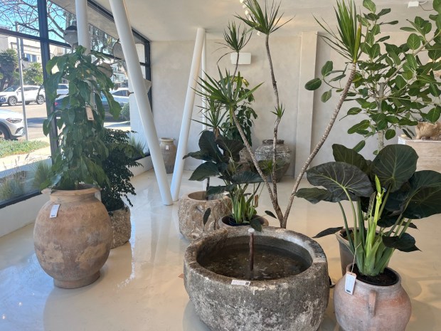 Planted by Roam, a sister company of Roam Homeware, offers plants and planters at the former location of Ogden's Cleaners at 945 Pearl St. (Noah Lyons)