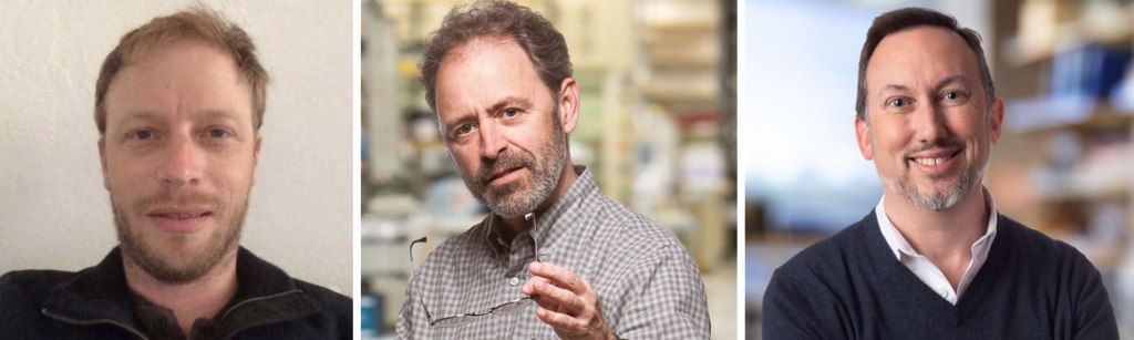 Salk Institute explores how weight-loss drugs also can improve health – San Diego Union-Tribune