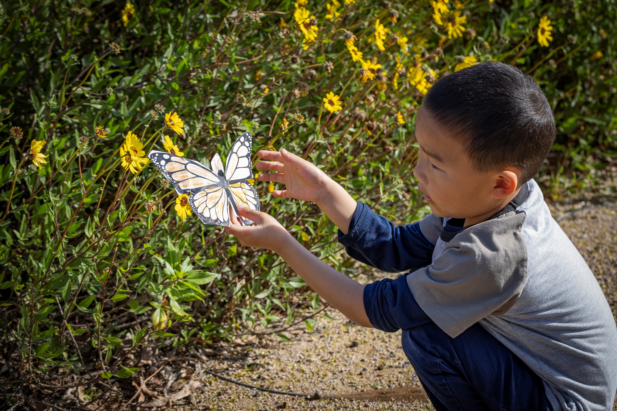 The Office of Climate Action and Sustainability will be hosting...