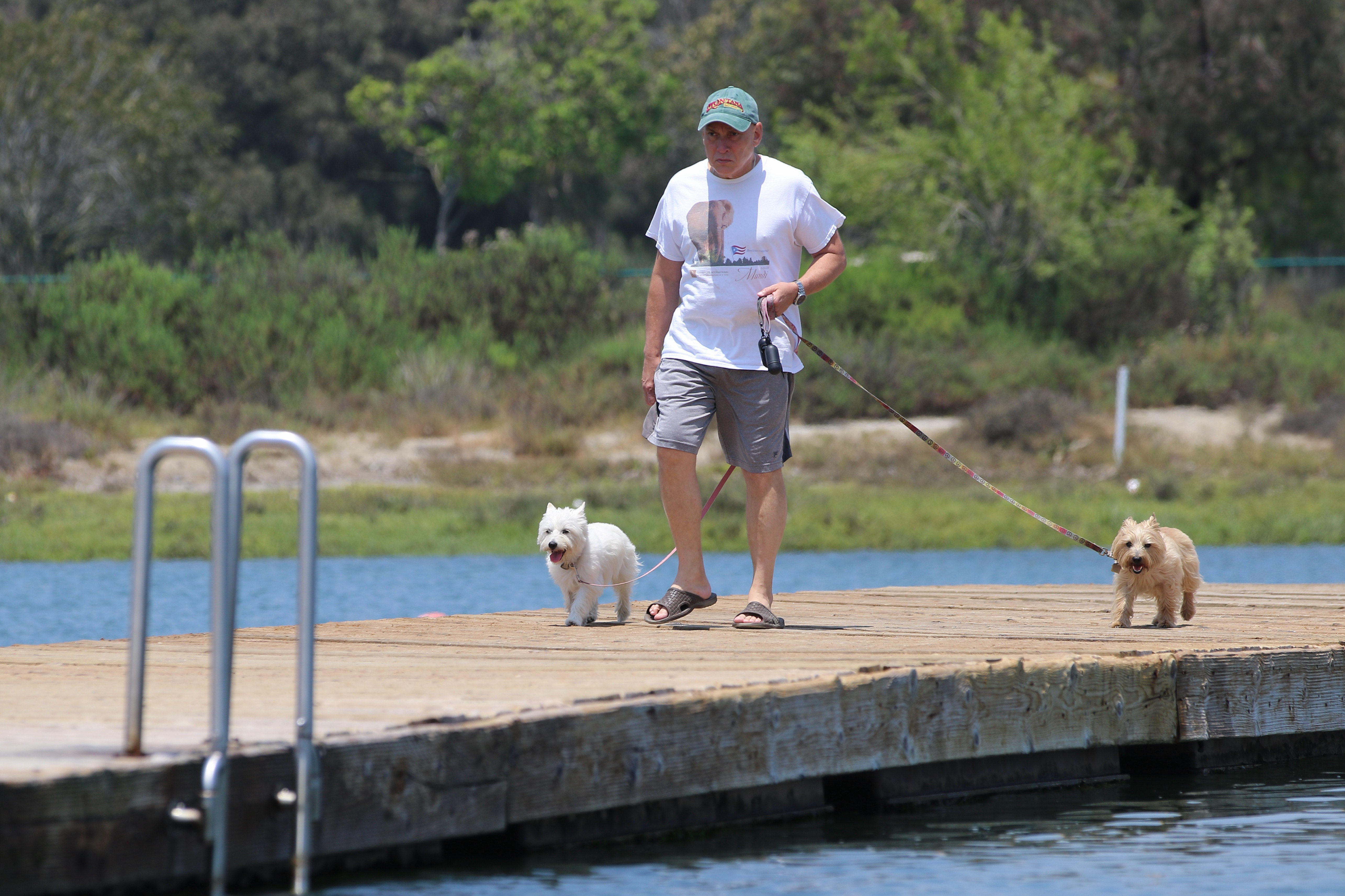 Area resident Sam Rosado walks his dogs Wicket and Maddie...