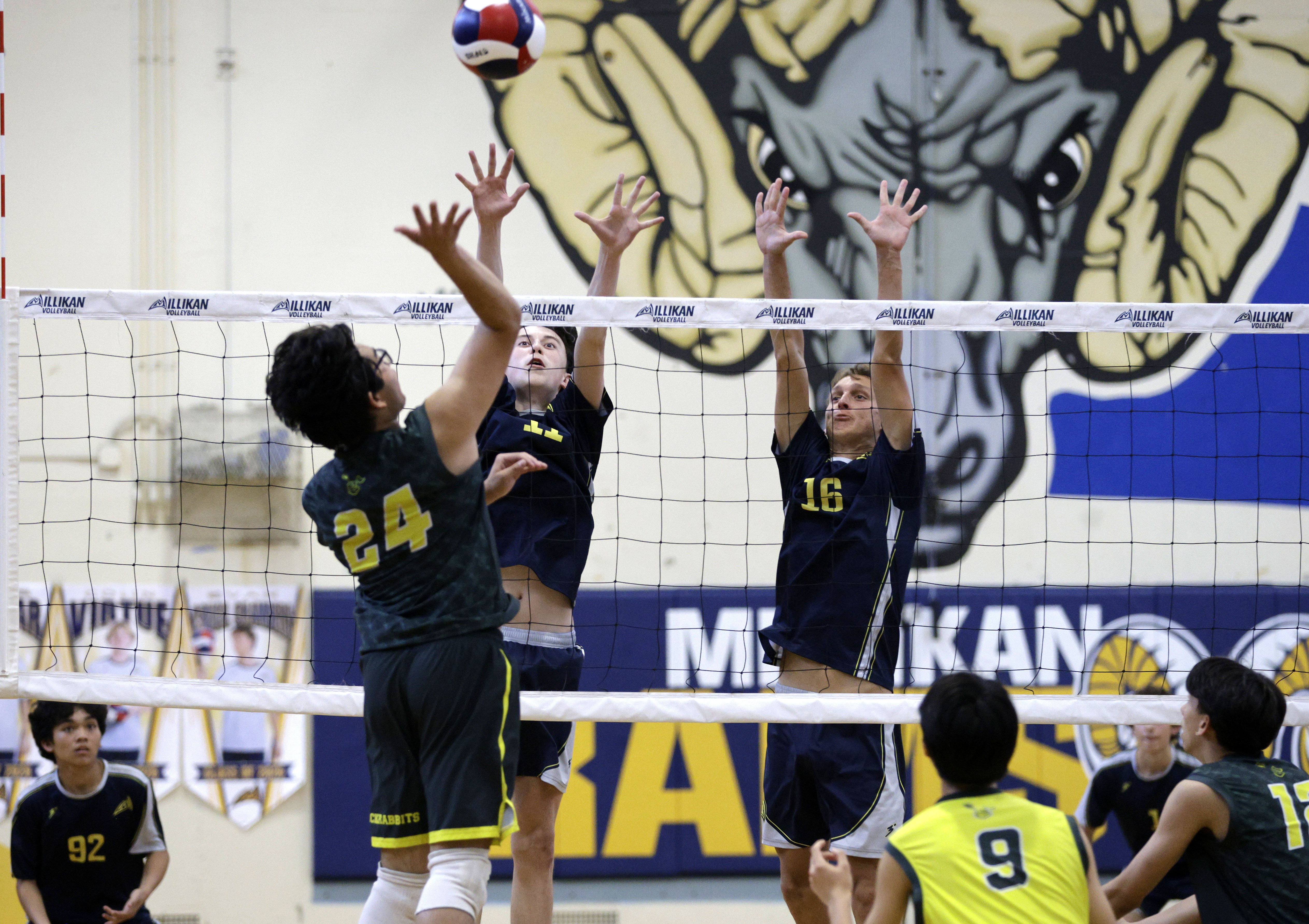 Long Beach Poly’s Dylan Bucu (24) looks to get the...