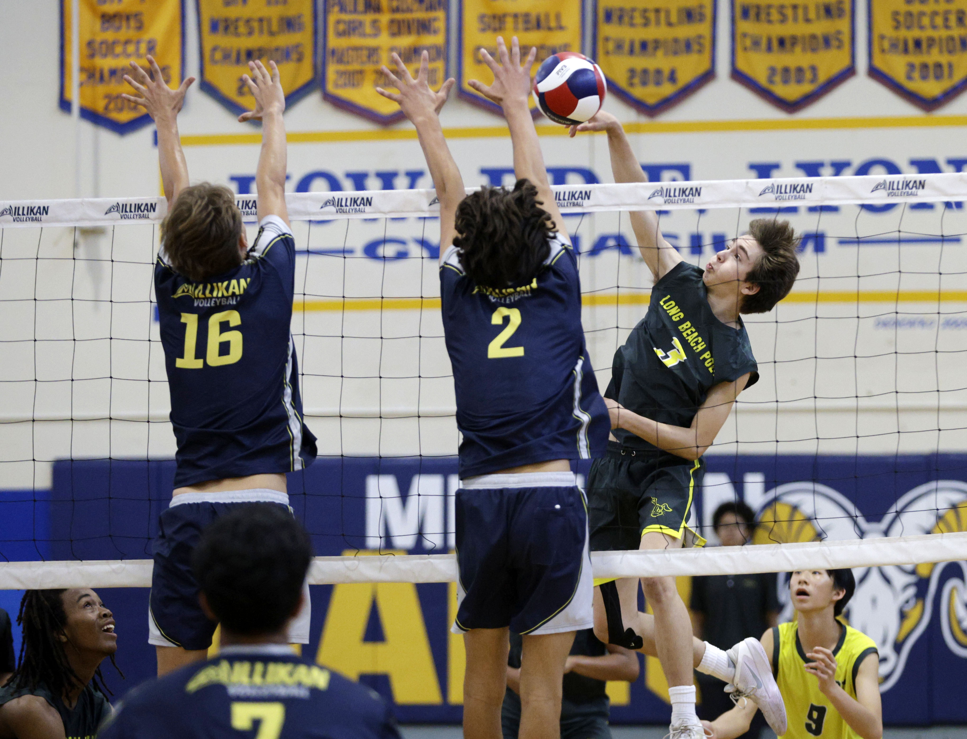 Long Beach Poly’s Nicholas Frank (3) tries to hit the...