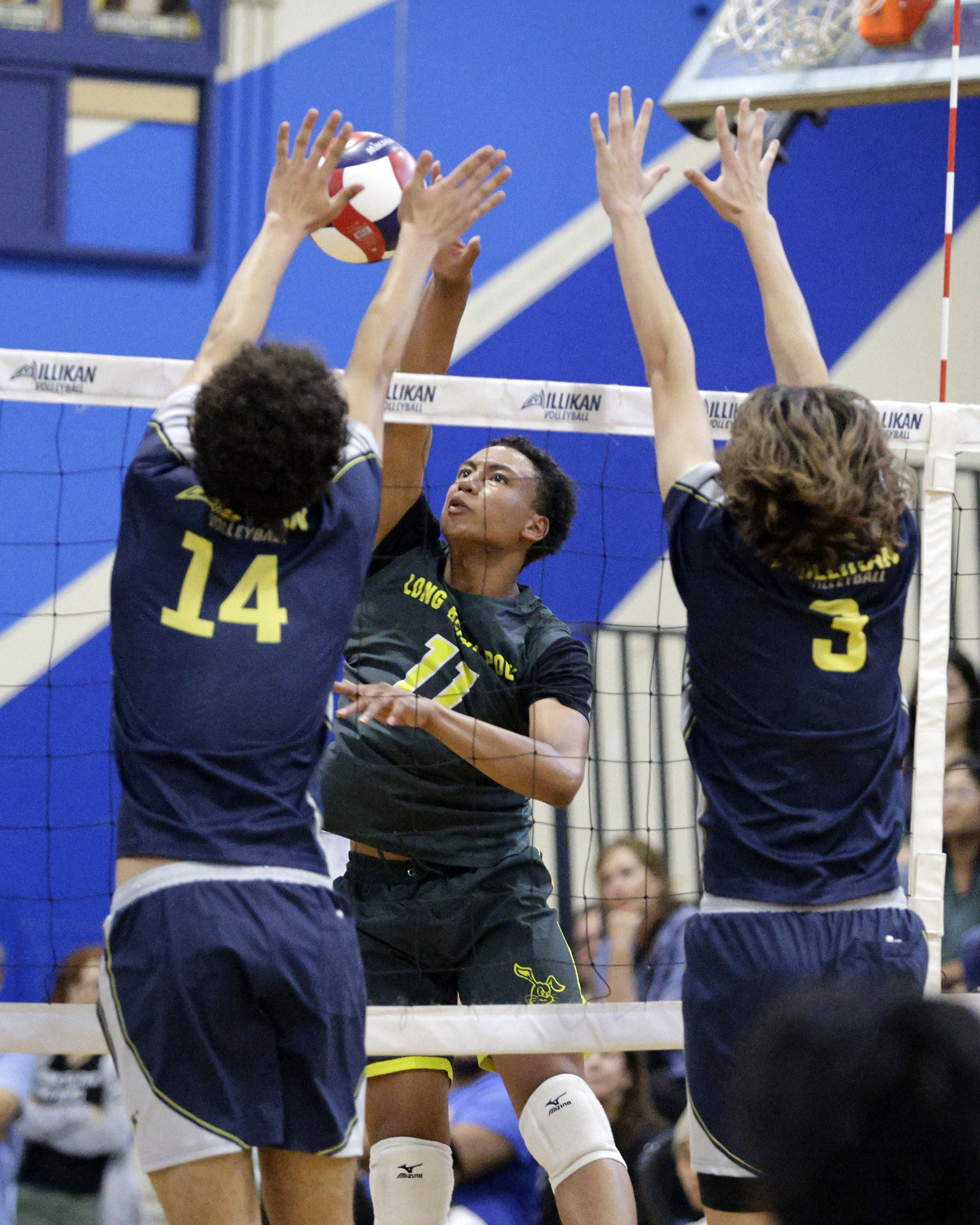 Long Beach Poly’s Shelton DIggs (11) looks to hit the...