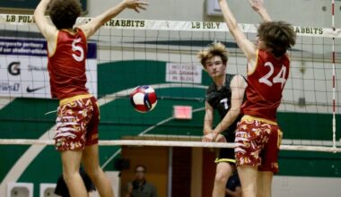 Long Beach Poly boys volleyball uses fast start to sweep Long Beach Wilson – Press Telegram