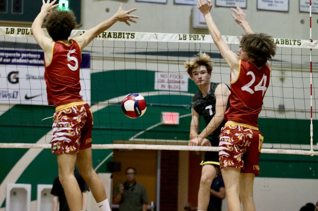 Long Beach Poly boys volleyball uses fast start to sweep Long Beach Wilson – Press Telegram