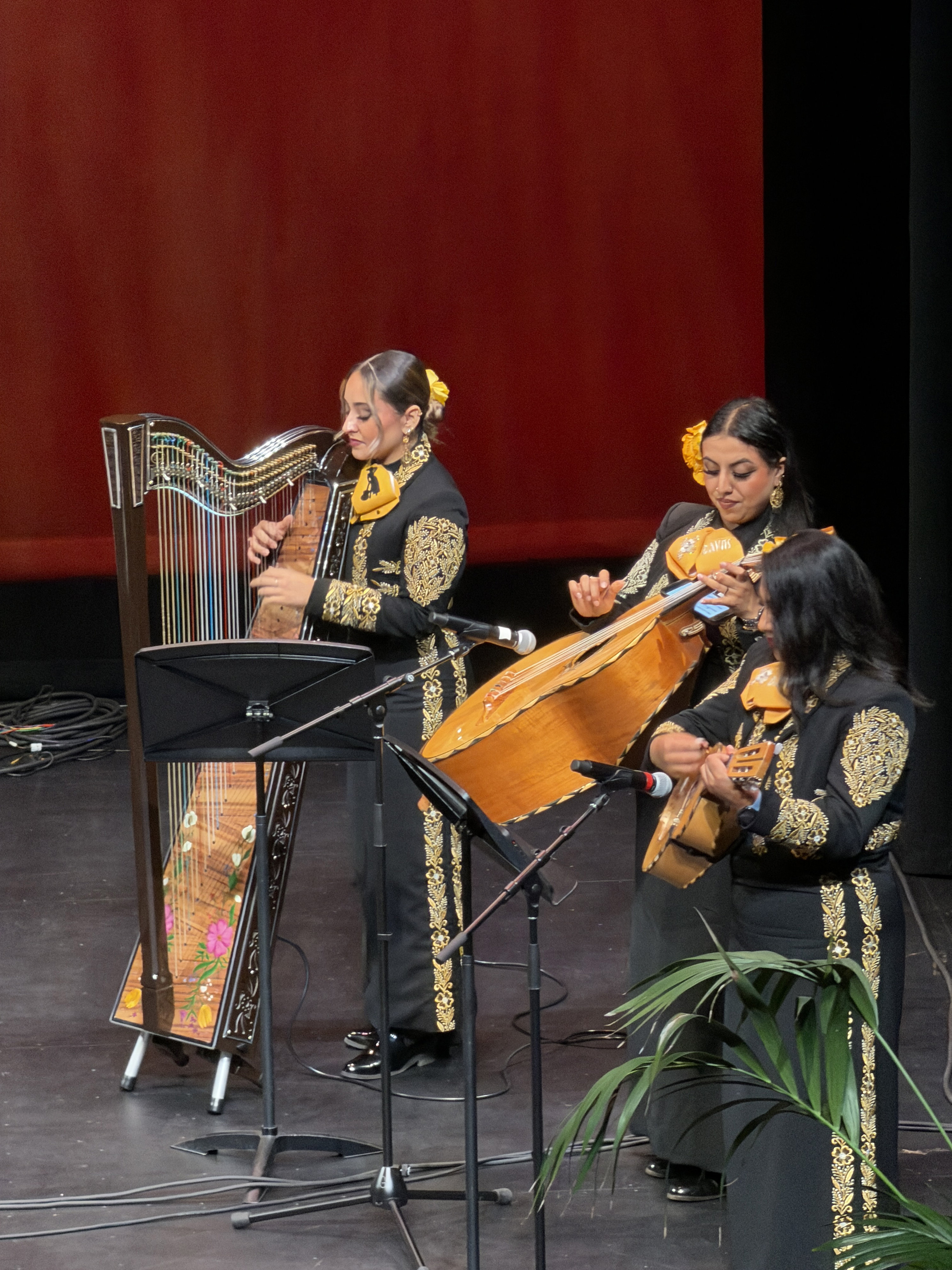 Mariachi Divas de Cindy Shea perform with Jenni Riveras daughters...