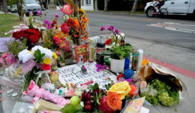 Long Beach wants to improve its response to traffic safety concerns, reduce fatal collisions – Press Telegram